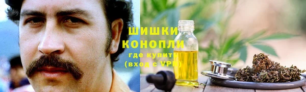 стаф Абаза