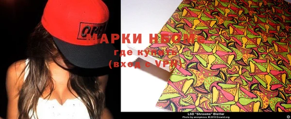 стаф Абаза