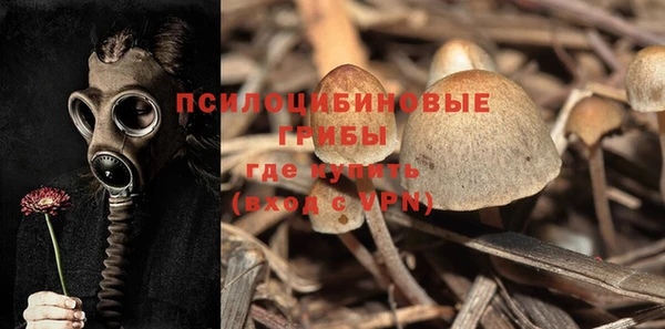 гашик Алзамай