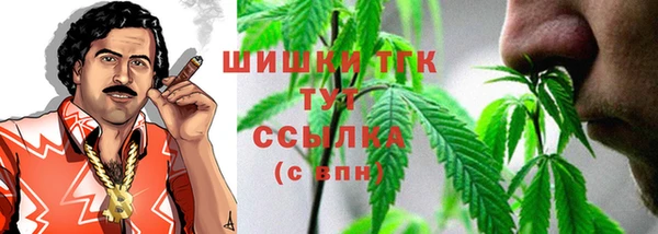 стаф Абаза