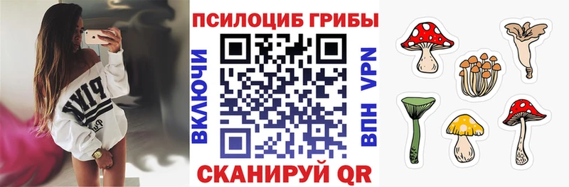 наркошоп Таштагол Псилоцибиновые грибы Magic Shrooms